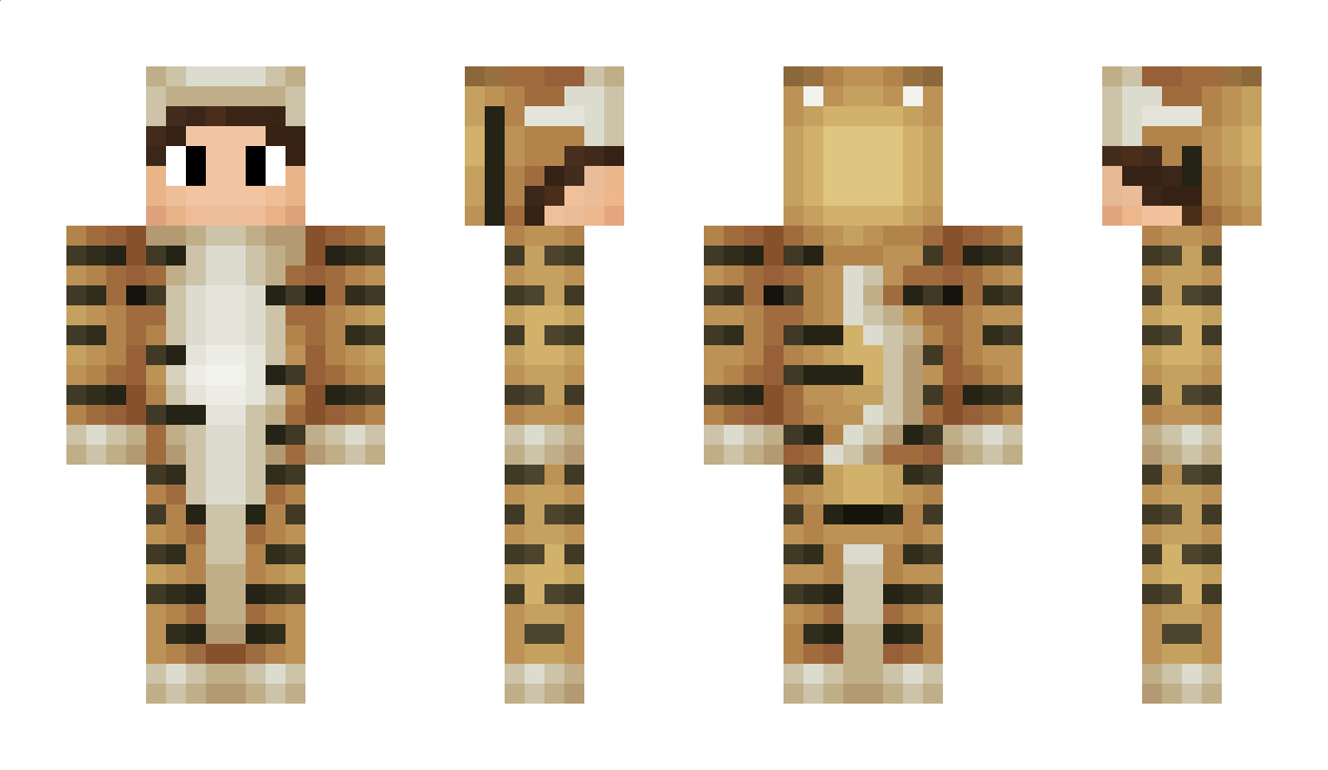 Apologize Minecraft Skin