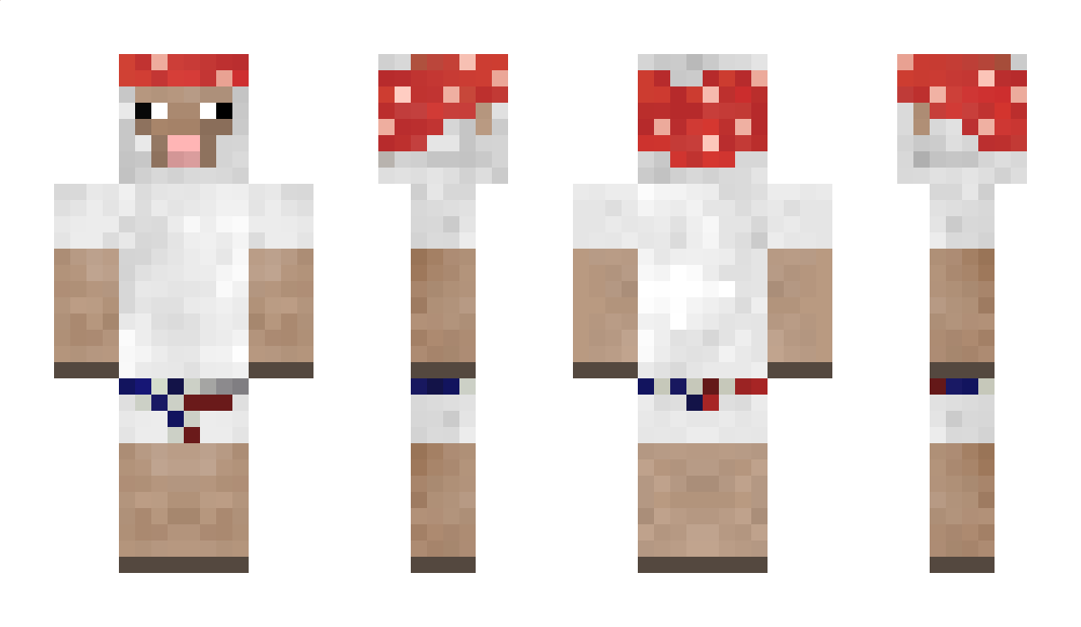 Ma6gi Minecraft Skin