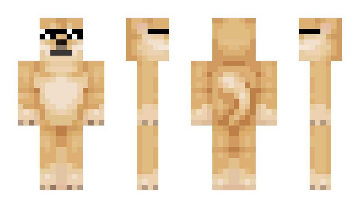 Metmisiek Minecraft Skin