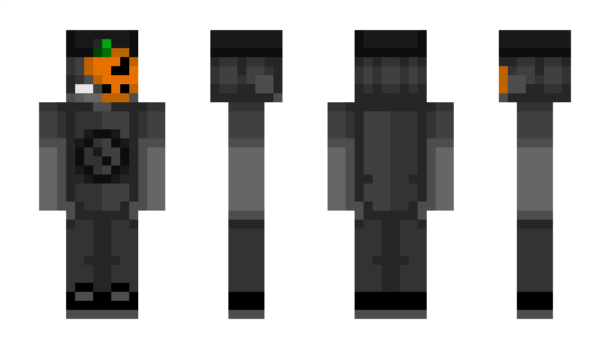 vOwyn Minecraft Skin