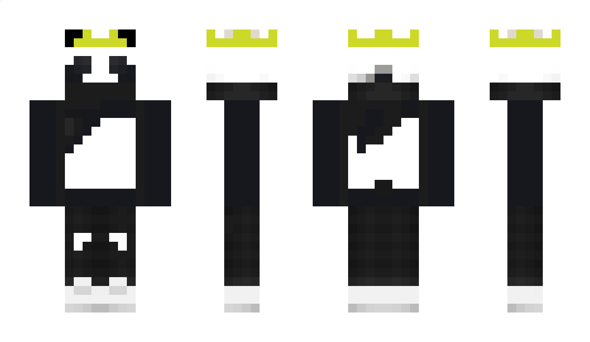 SaPe1984 Minecraft Skin