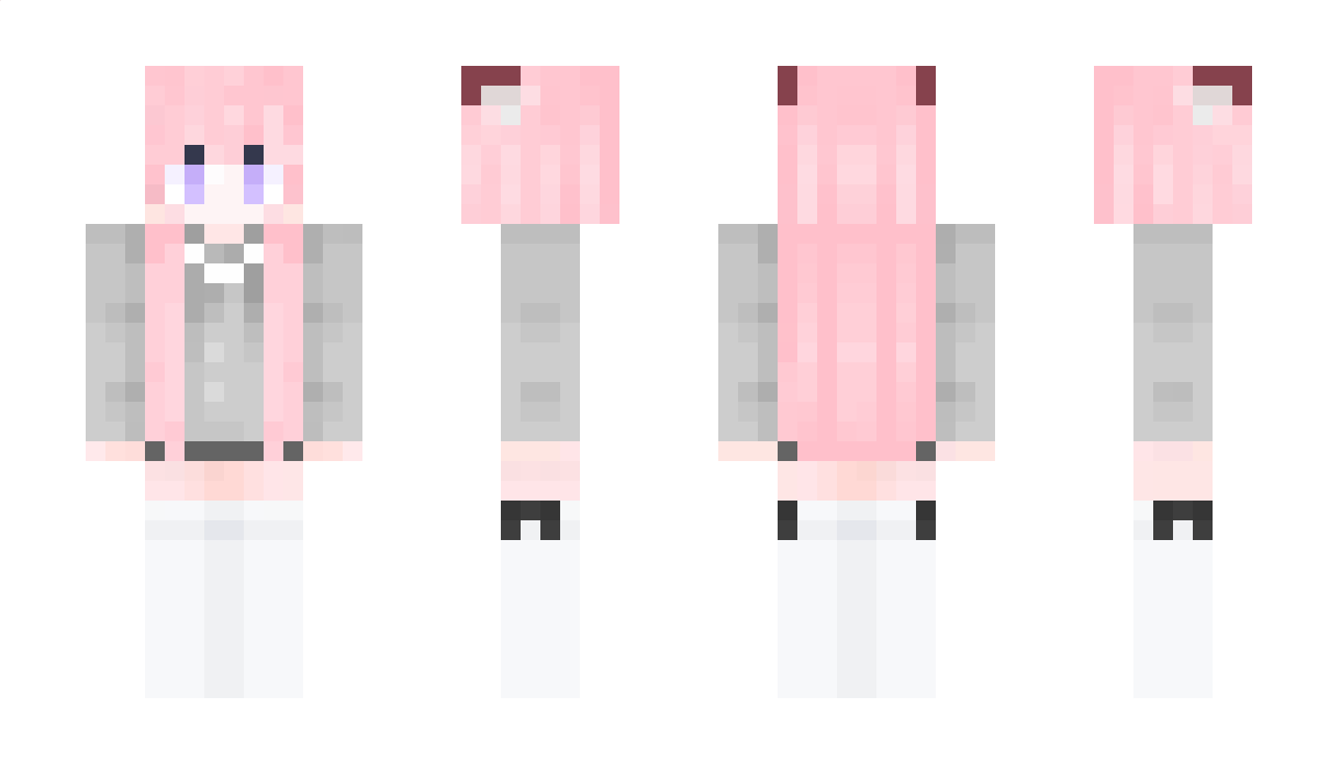 FR2335 Minecraft Skin