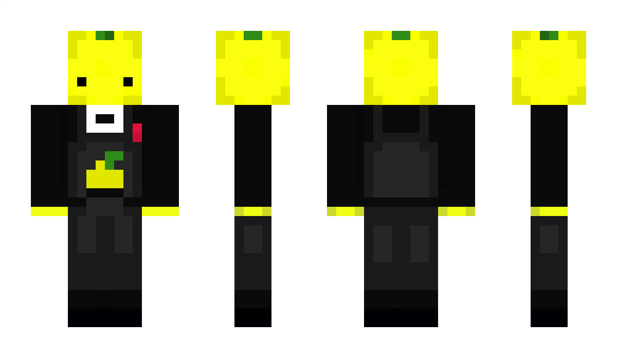 Harikarftt Minecraft Skin