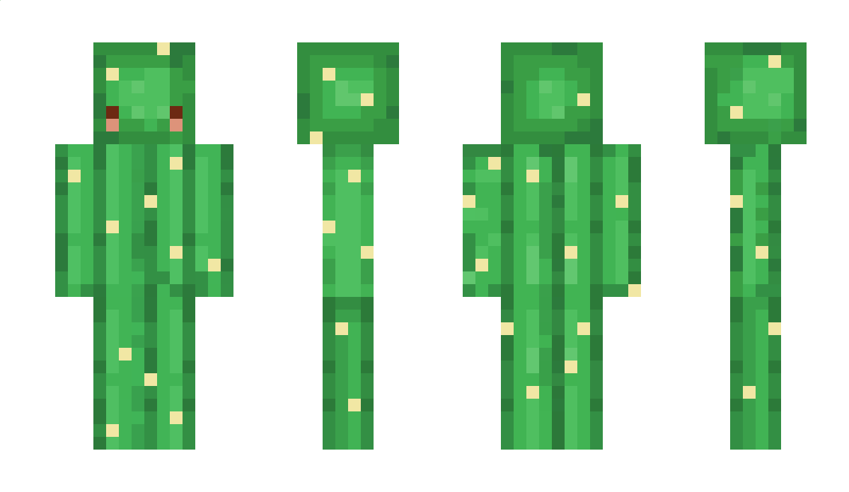 Cactus3 Minecraft Skin