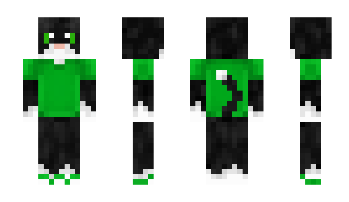 _CatMC Minecraft Skin