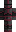 cgtvoid Minecraft Skin