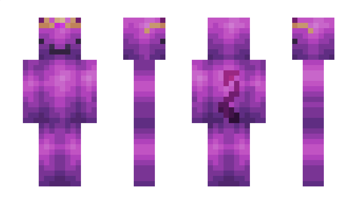 KKN2211 Minecraft Skin