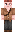 TozzyGames Minecraft Skin