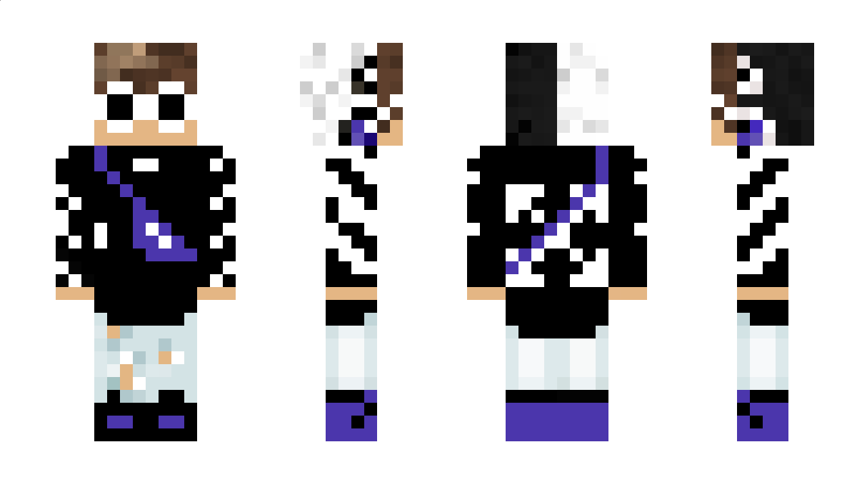 PhonePassword Minecraft Skin