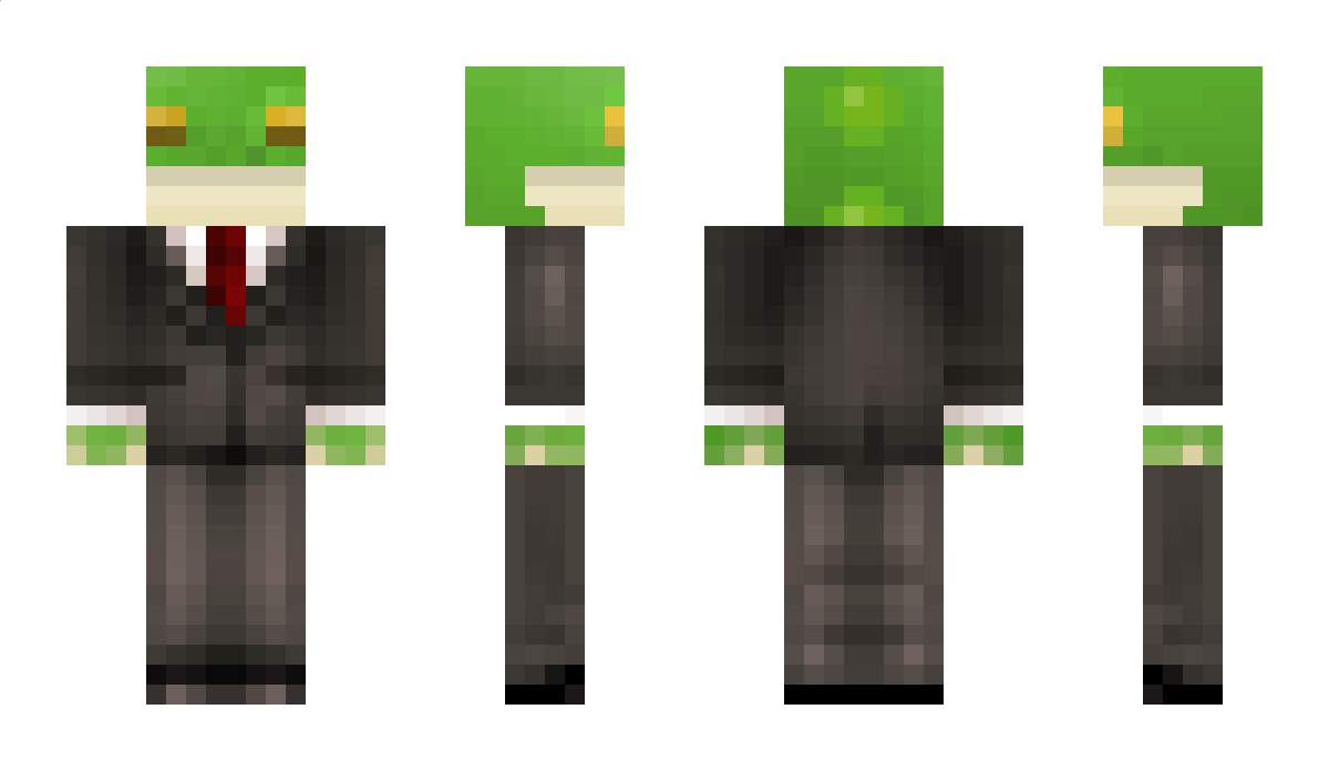 nyxthelost Minecraft Skin