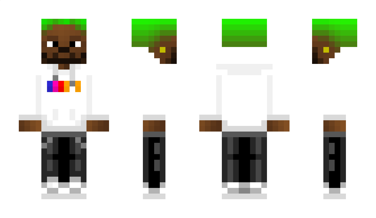 lamaplyzz Minecraft Skin