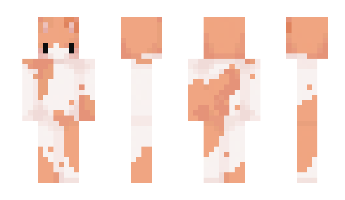 Rabr1x_ Minecraft Skin