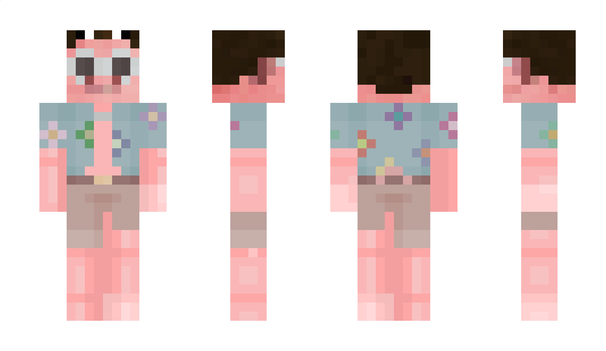 Trapigtrogen Minecraft Skin