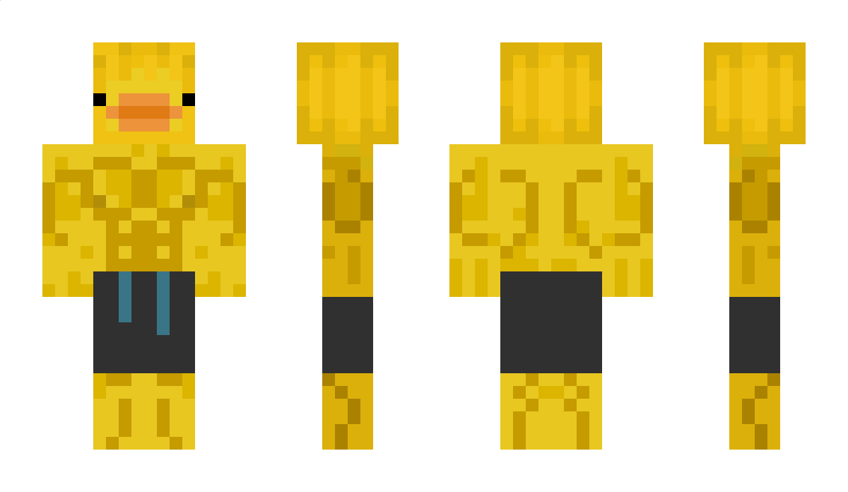 _Duckz_ Minecraft Skin