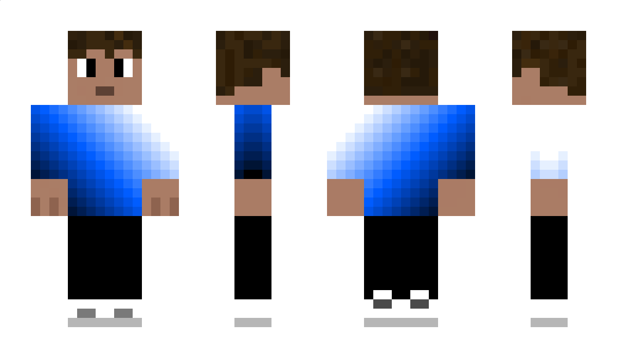 Molex222 Minecraft Skin