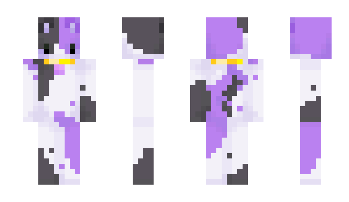 ENIGMAKER Minecraft Skin