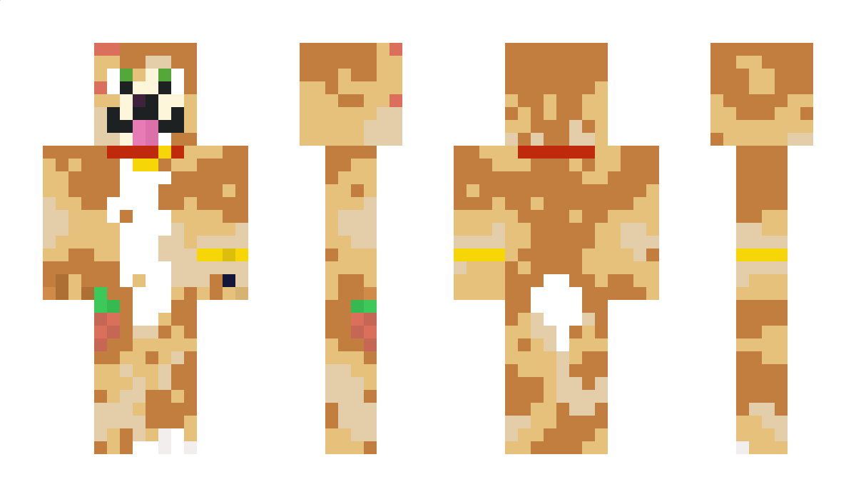 wildly22 Minecraft Skin