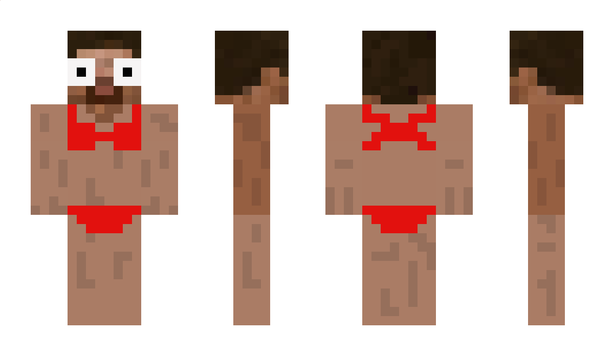 SaNDwitC Minecraft Skin