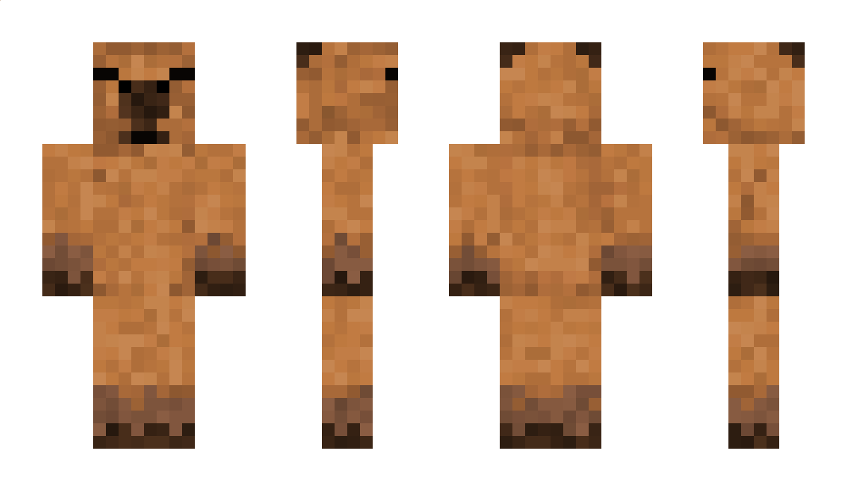 Trainmaster2013 Minecraft Skin