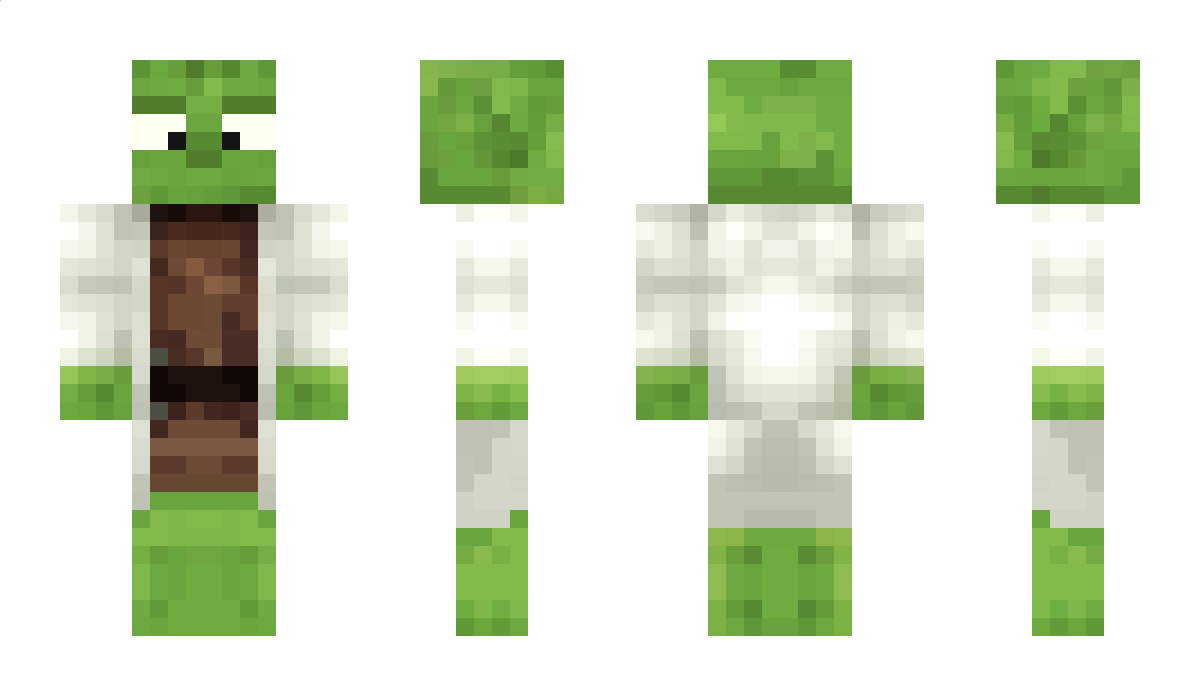 YodaMiszcz Minecraft Skin