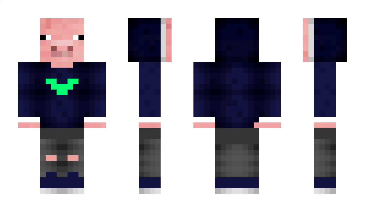 ItzPokerTurtle Minecraft Skin