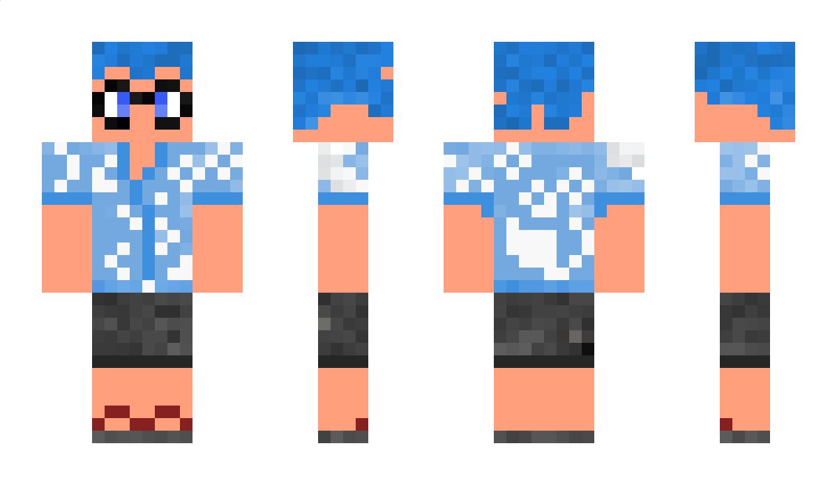 TheVeryDumbDuck Minecraft Skin