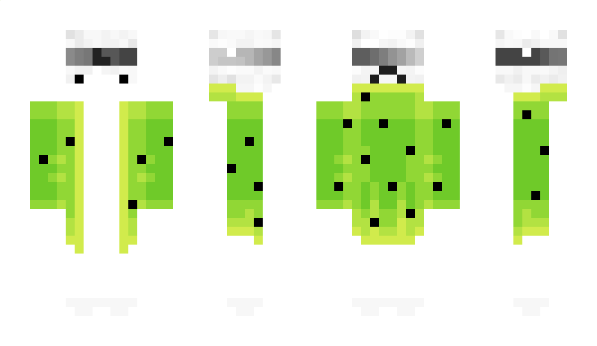 MartinsFalcon Minecraft Skin