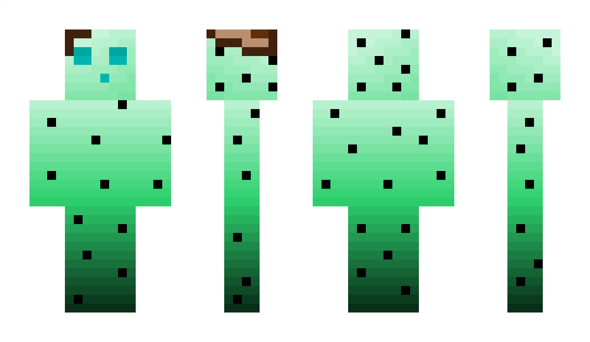 SketchLIfe Minecraft Skin