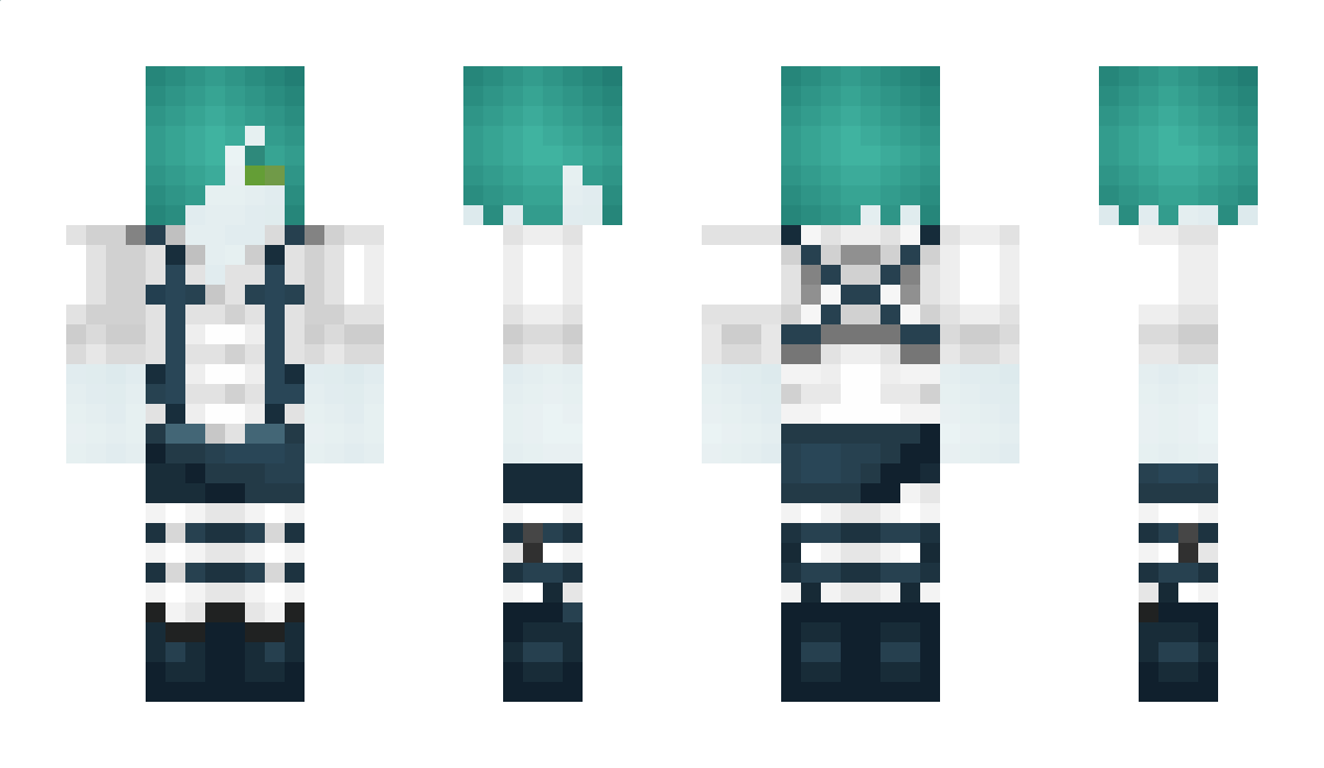 RB2B2 Minecraft Skin