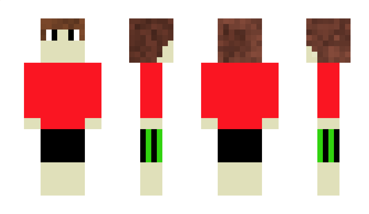 Reykyavik Minecraft Skin