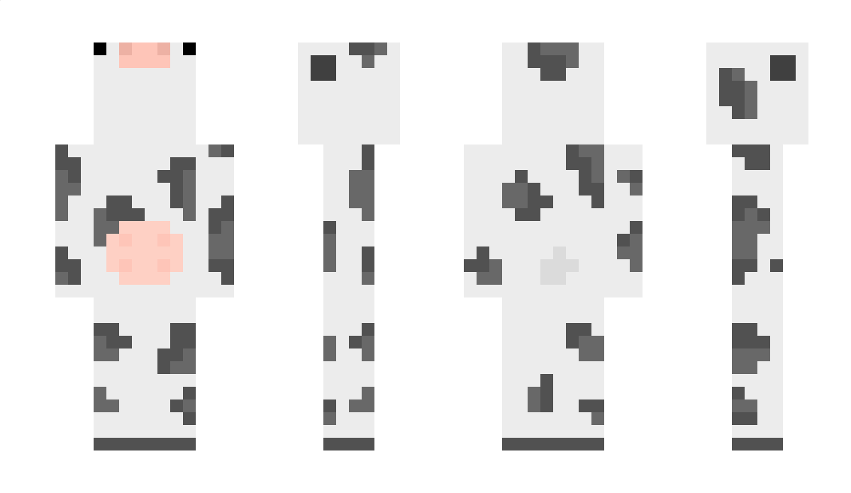 oinkoink1 Minecraft Skin