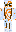 Oranguo Minecraft Skin