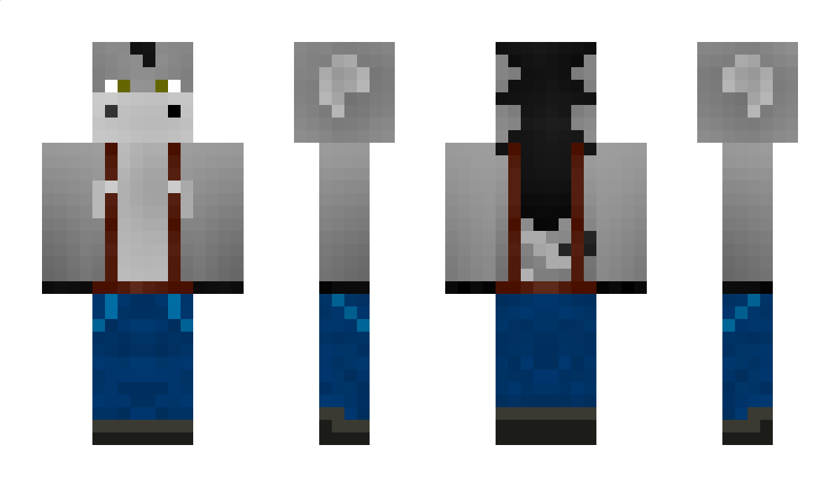 Burro Minecraft Skin