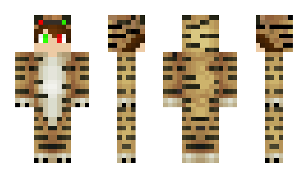 Tigerguy_ Minecraft Skin