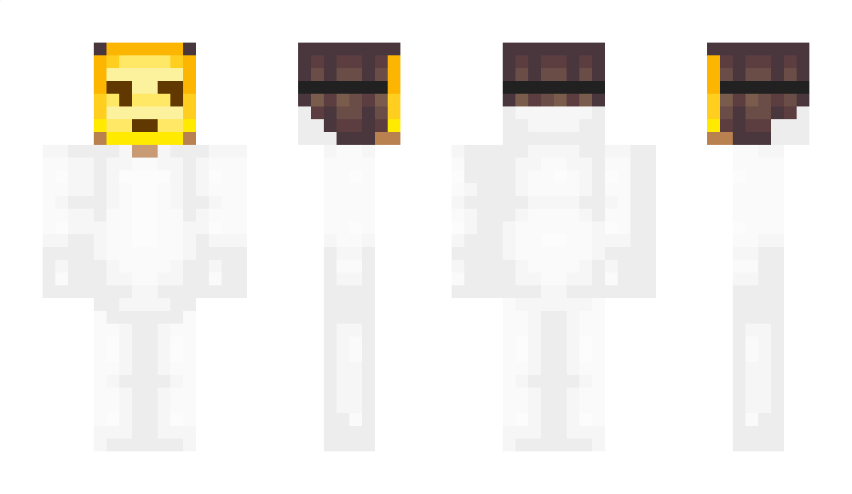 E63 Minecraft Skin