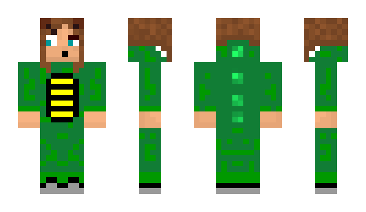 Kattekryp Minecraft Skin