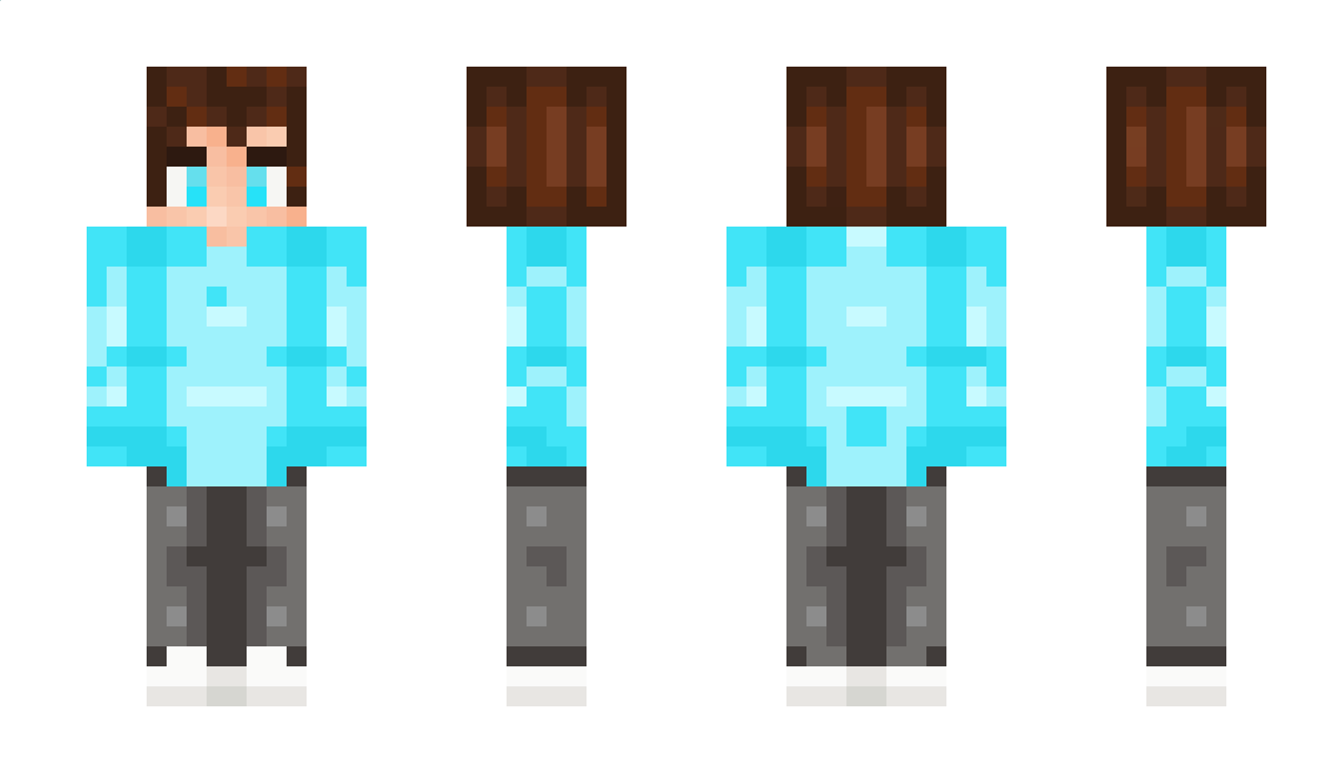 NpStudios Minecraft Skin