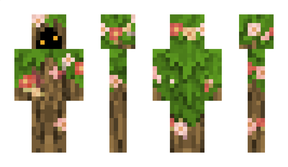 WoodenedAJz Minecraft Skin