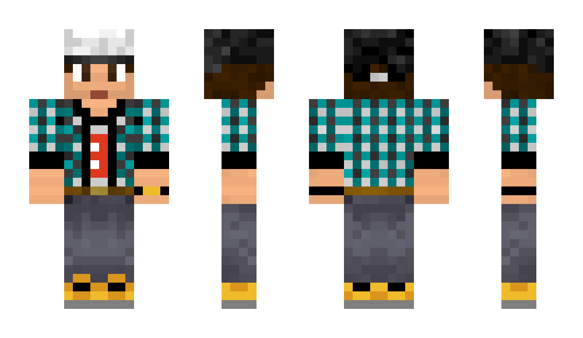 LADR Minecraft Skin