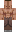 GAZ0 Minecraft Skin