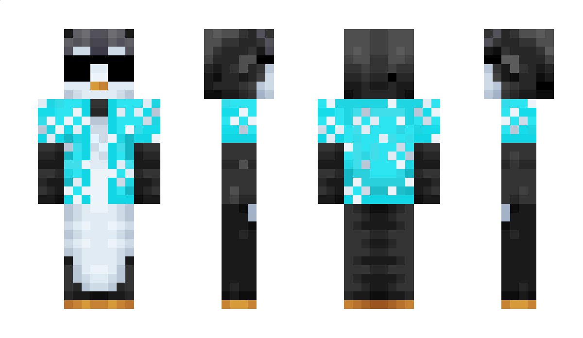 mcpenguin120 Minecraft Skin