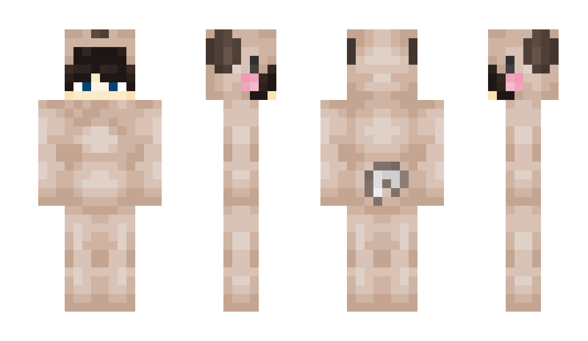 pugtub Minecraft Skin