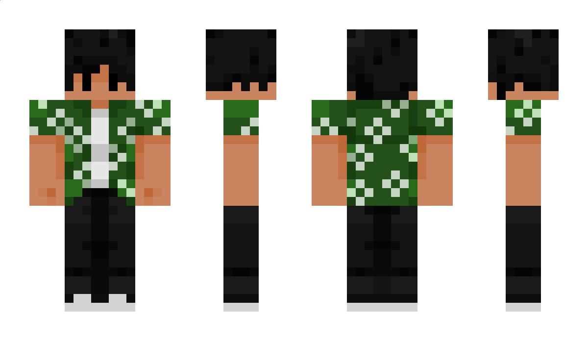 dyslexic35 Minecraft Skin