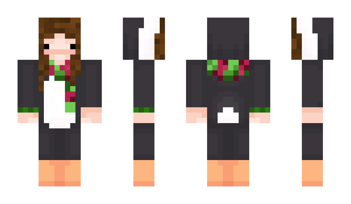 MEGAROOMBA Minecraft Skin