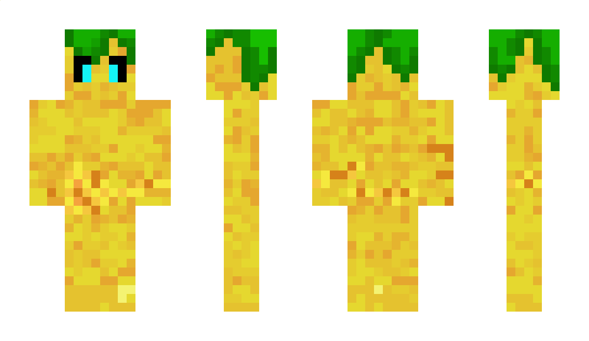 Arctic_Pineapple Minecraft Skin