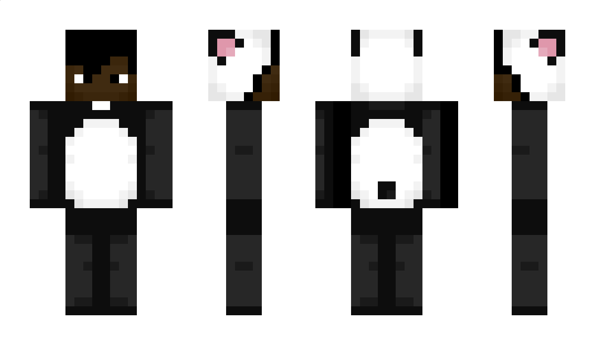 sirpandaq Minecraft Skin