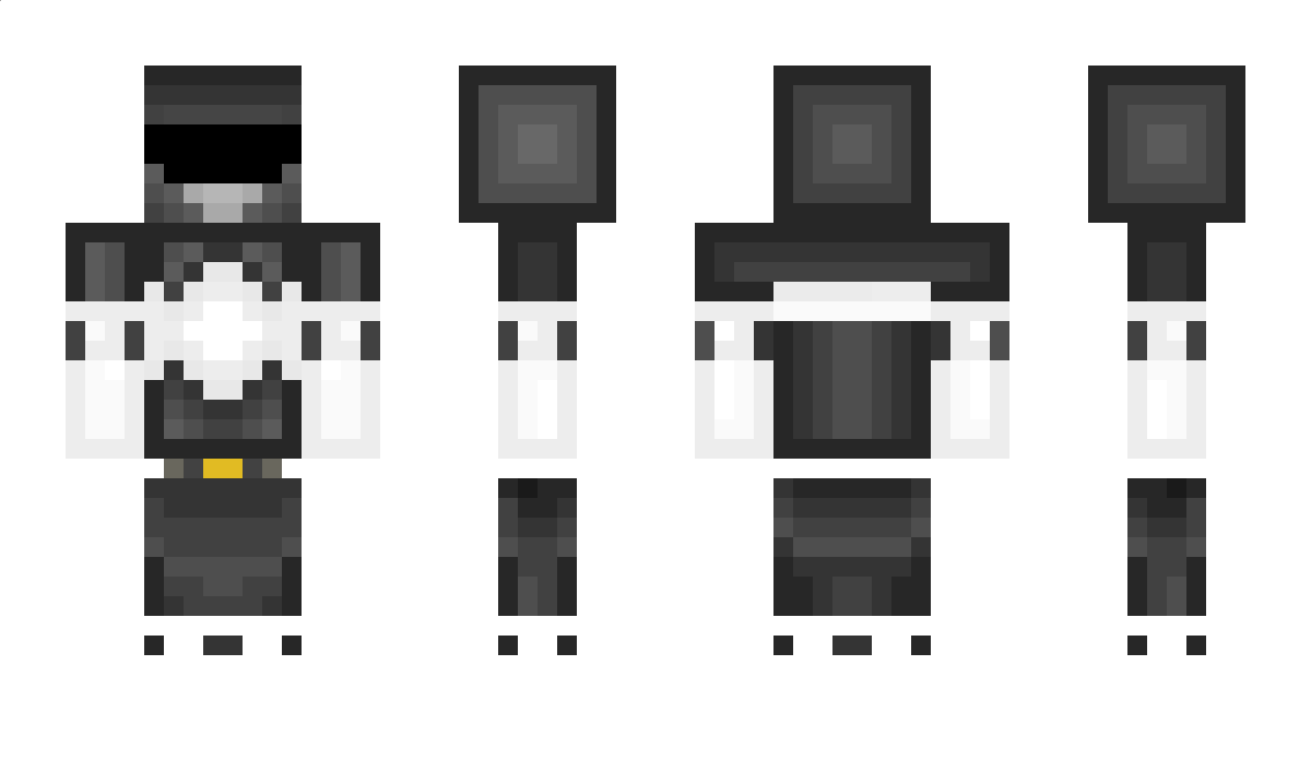 3005 Minecraft Skin