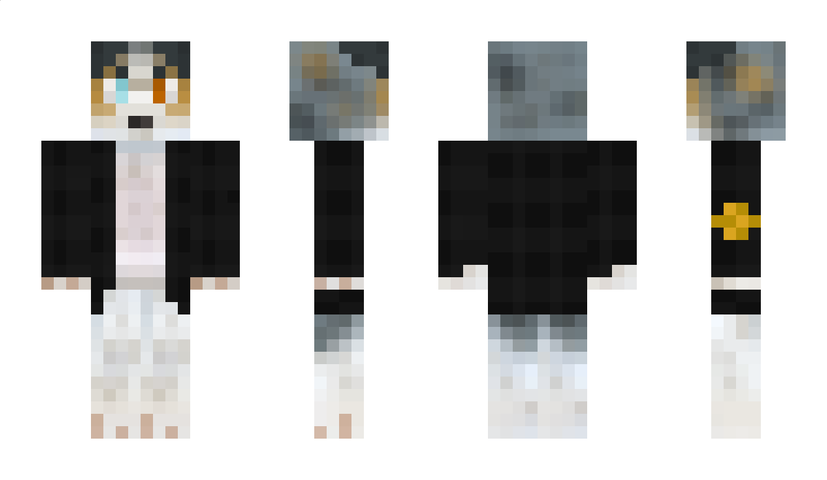 AleWu Minecraft Skin