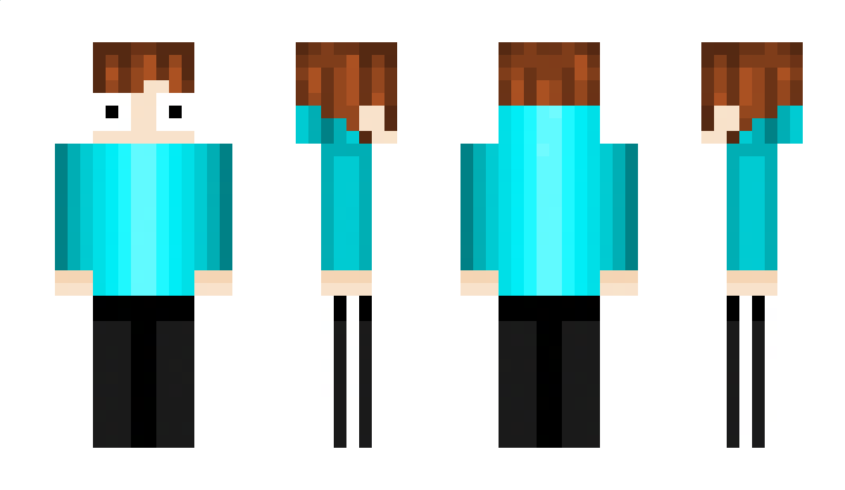 _Ara_ Minecraft Skin