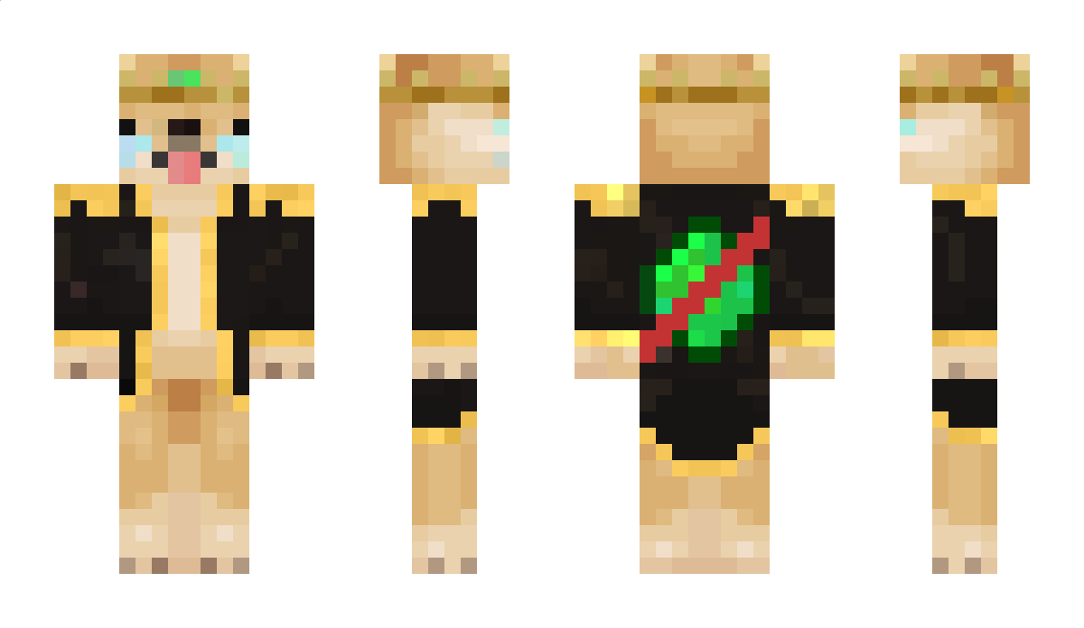 GeroJojo Minecraft Skin